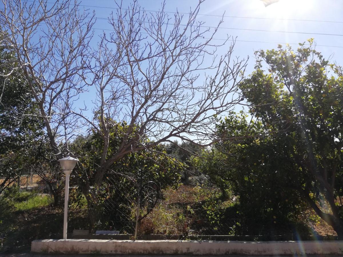 Capinera Bed & Breakfast Agrigento Bagian luar foto